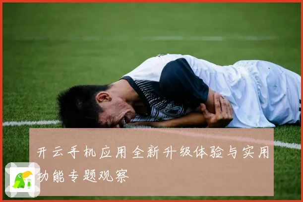 开云手机应用全新升级体验与实用功能专题观察