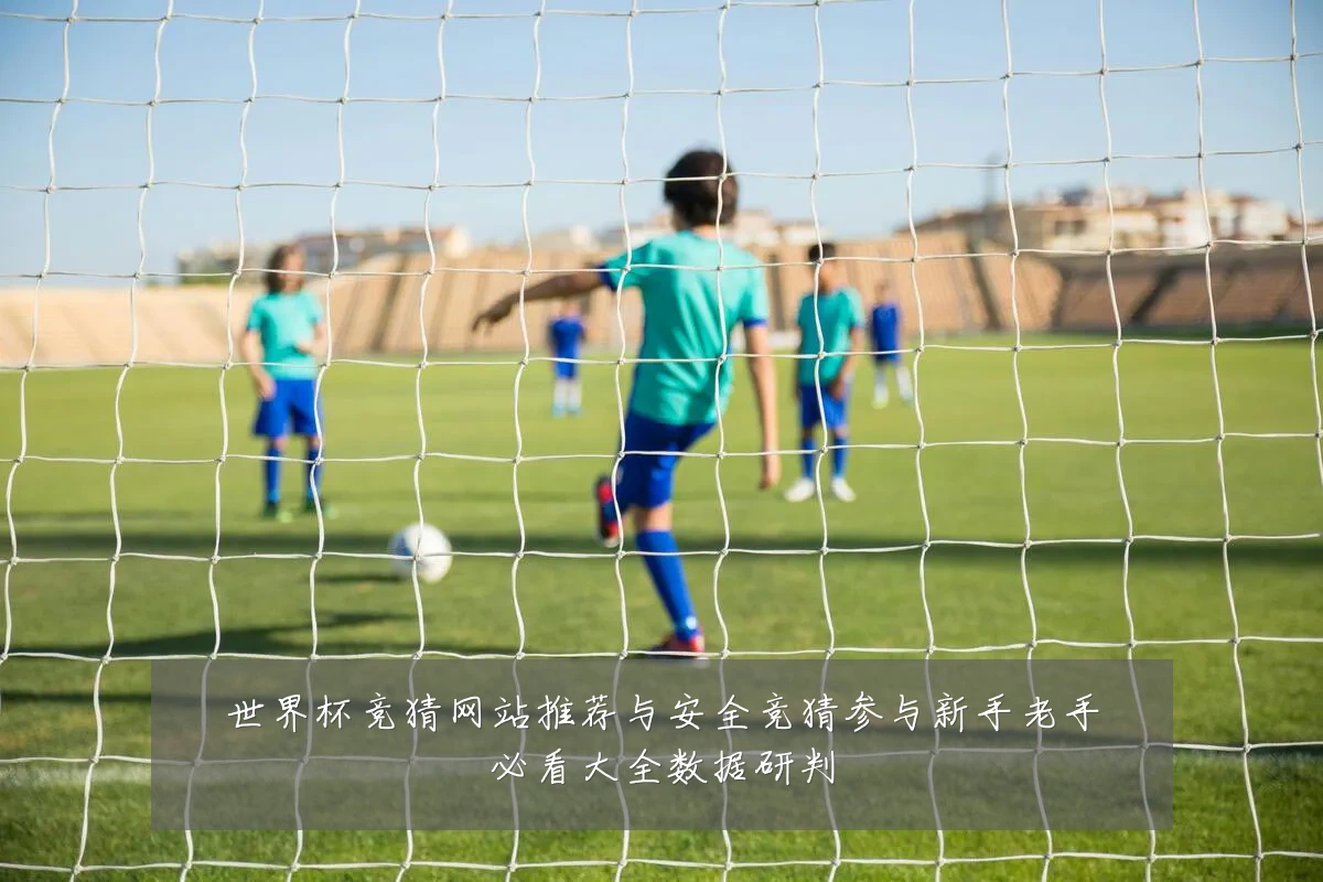 世界杯竞猜网站推荐与安全竞猜参与新手老手必看大全数据研判
